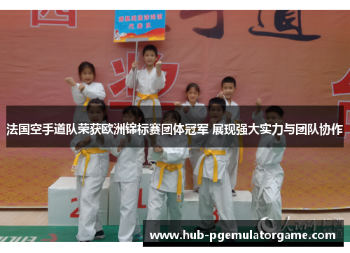 法国空手道队荣获欧洲锦标赛团体冠军 展现强大实力与团队协作