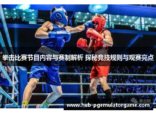 拳击比赛节目内容与赛制解析 探秘竞技规则与观赛亮点