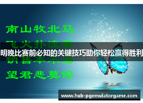 明晚比赛前必知的关键技巧助你轻松赢得胜利