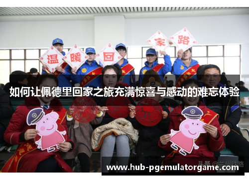 如何让佩德里回家之旅充满惊喜与感动的难忘体验