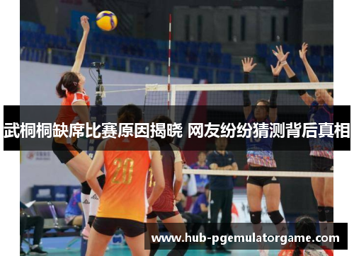 武桐桐缺席比赛原因揭晓 网友纷纷猜测背后真相