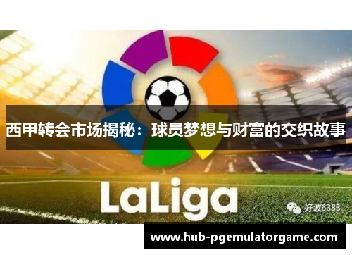 西甲转会市场揭秘：球员梦想与财富的交织故事