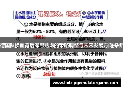 德国队换血背后深思熟虑的策略调整与未来发展方向探析 德国队换血背后深思熟虑的策略调整与未来发展方向探析