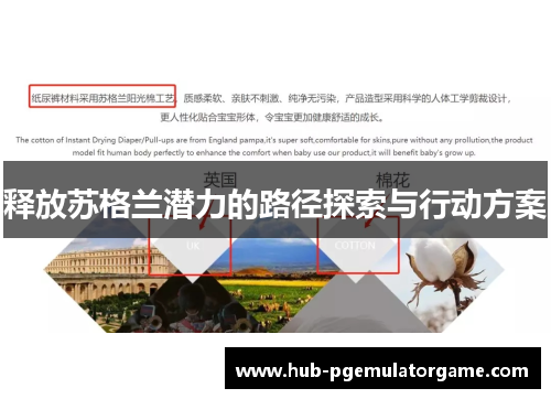 释放苏格兰潜力的路径探索与行动方案