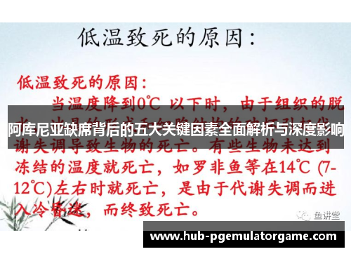 阿库尼亚缺席背后的五大关键因素全面解析与深度影响